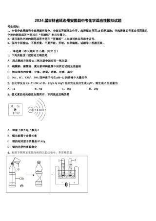 2024届吉林省延边州安图县中考化学适应性模拟试题含解析.doc