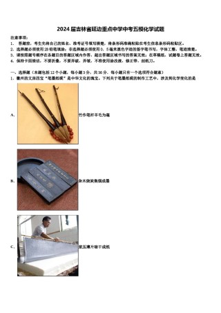 2024届吉林省延边重点中学中考五模化学试题含解析.doc