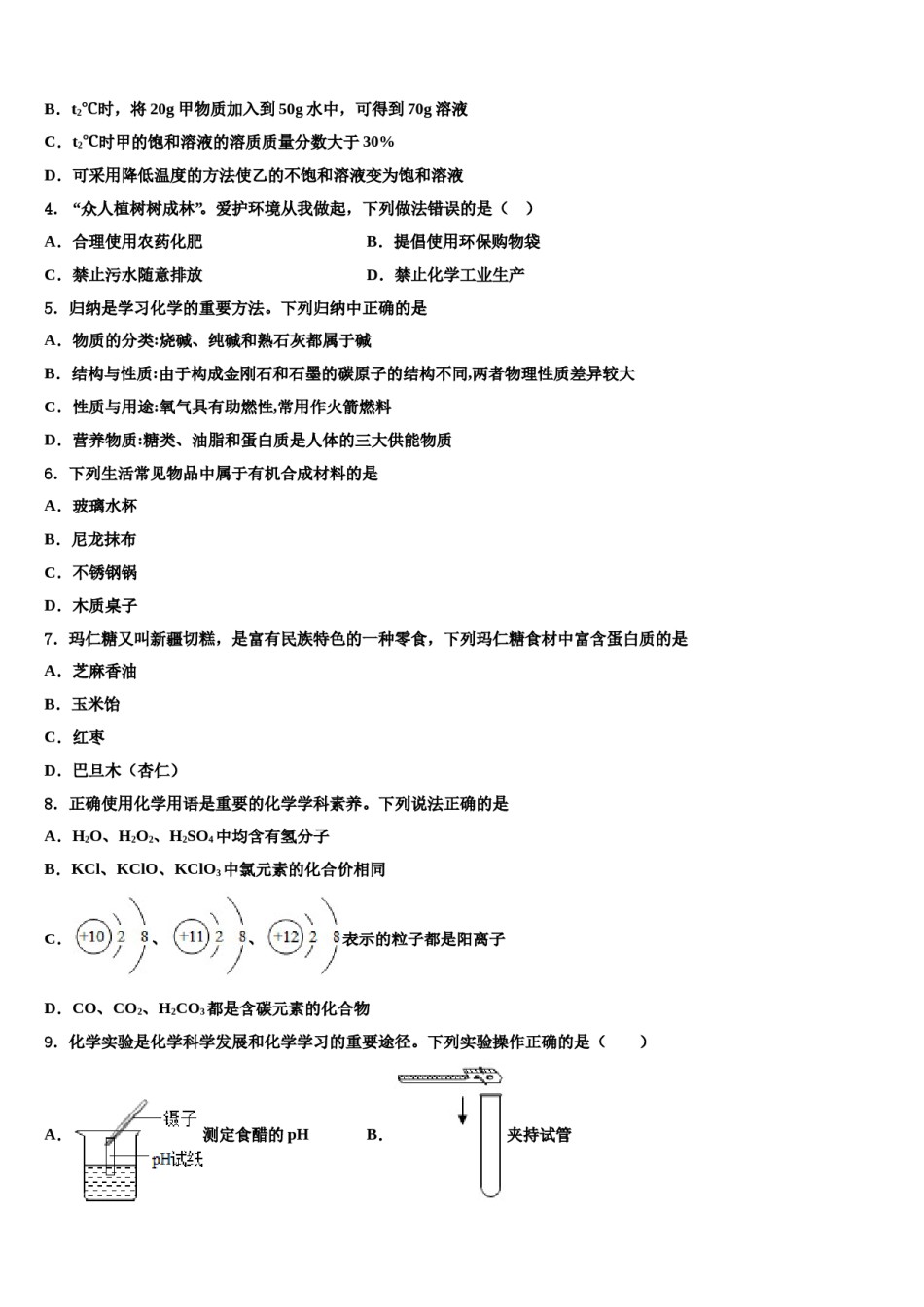 2024届吉林省白城市中考化学适应性模拟试题含解析.doc_第2页