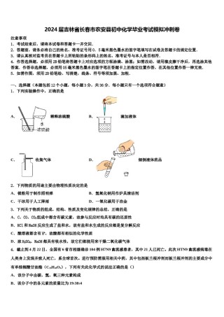 2024届吉林省长春市农安县初中化学毕业考试模拟冲刺卷含解析.doc
