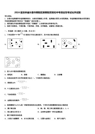 2024届吉林省长春市朝阳区新朝阳实验校中考适应性考试化学试题含解析.doc