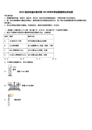 2024届吉林省长春市第104中学中考试题猜想化学试卷含解析.doc