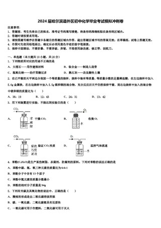 2024届哈尔滨道外区初中化学毕业考试模拟冲刺卷含解析.doc