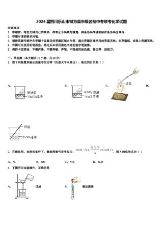 2024届四川乐山市犍为县市级名校中考联考化学试题含解析.doc
