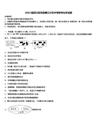 2024届四川宜宾县横江片区中考联考化学试题含解析.doc