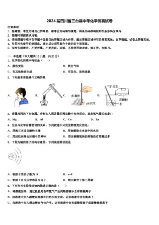2024届四川省三台县中考化学仿真试卷含解析.doc