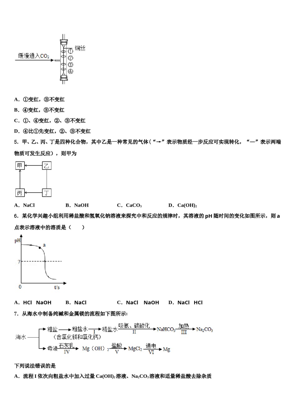 2024届四川省乐至县达标名校中考化学模拟精编试卷含解析.doc_第2页