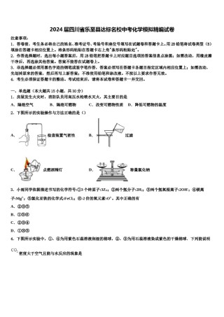 2024届四川省乐至县达标名校中考化学模拟精编试卷含解析.doc