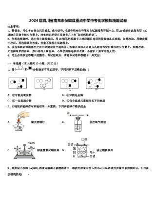 2024届四川省南充市仪陇县重点中学中考化学模拟精编试卷含解析.doc
