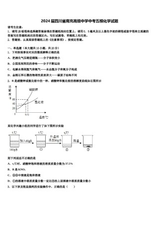 2024届四川省南充高级中学中考五模化学试题含解析.doc