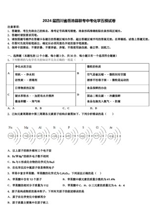 2024届四川省岳池县联考中考化学五模试卷含解析.doc