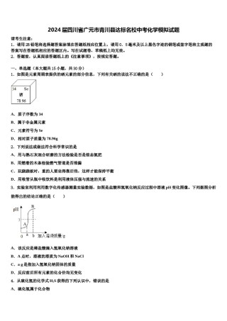 2024届四川省广元市青川县达标名校中考化学模拟试题含解析.doc