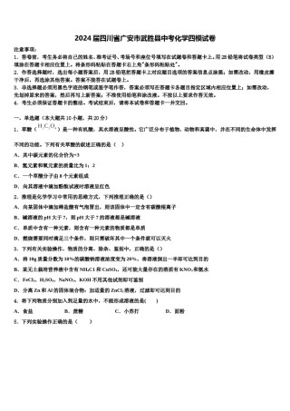 2024届四川省广安市武胜县中考化学四模试卷含解析.doc