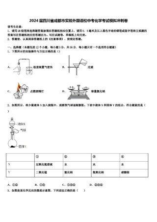 2024届四川省成都市实验外国语校中考化学考试模拟冲刺卷含解析.doc