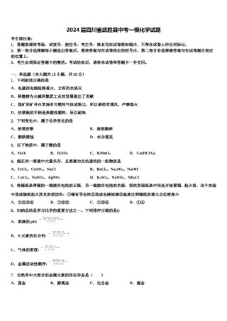 2024届四川省武胜县中考一模化学试题含解析.doc
