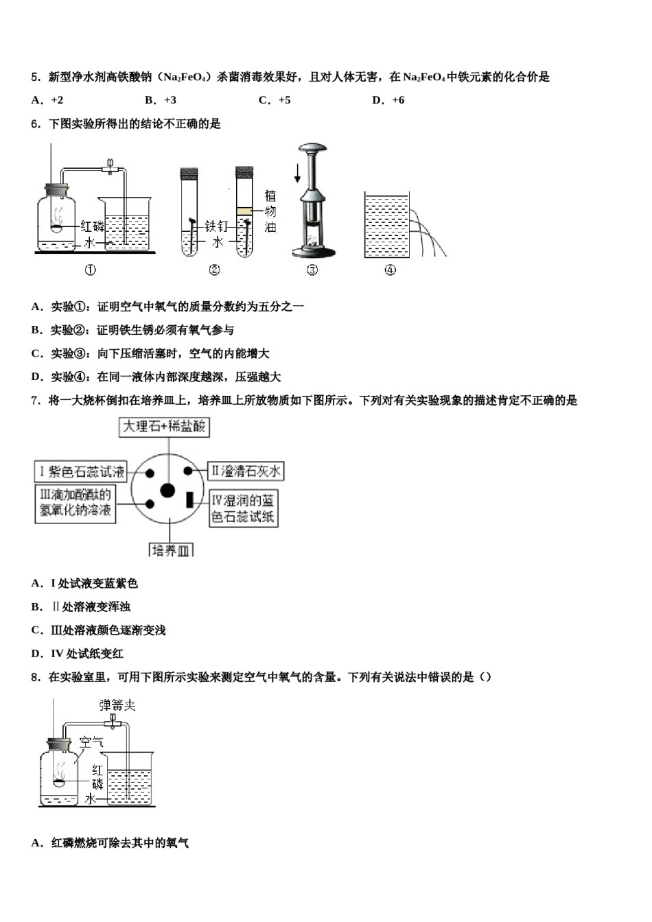 2024届四川省泸县五中中考化学模拟精编试卷含解析.doc_第2页