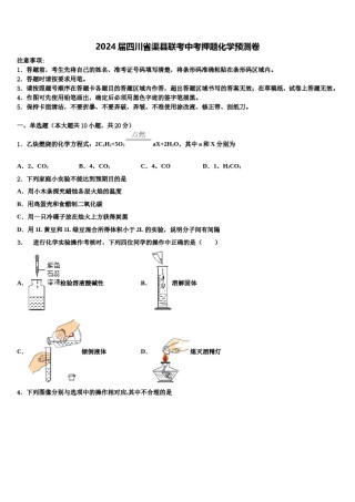 2024届四川省渠县联考中考押题化学预测卷含解析.doc