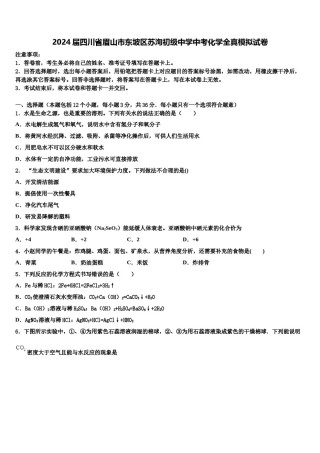 2024届四川省眉山市东坡区苏洵初级中学中考化学全真模拟试卷含解析.doc