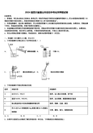 2024届四川省眉山市名校中考化学押题试卷含解析.doc