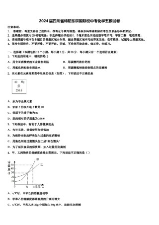 2024届四川省绵阳东辰国际校中考化学五模试卷含解析.doc
