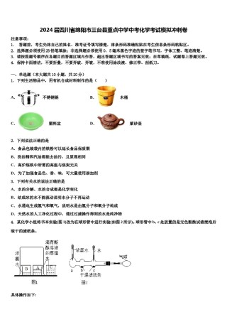 2024届四川省绵阳市三台县重点中学中考化学考试模拟冲刺卷含解析.doc