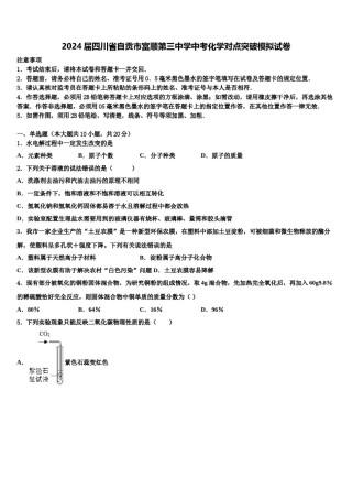 2024届四川省自贡市富顺第三中学中考化学对点突破模拟试卷含解析.doc