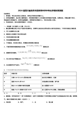 2024届四川省自贡市田家炳中学中考化学模拟预测题含解析.doc