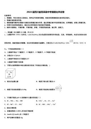 2024届四川省苍溪县中考猜题化学试卷含解析.doc