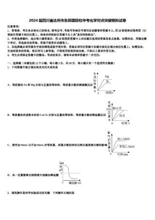 2024届四川省达州市东辰国际校中考化学对点突破模拟试卷含解析.doc
