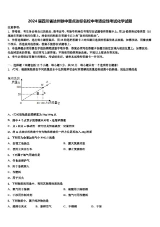2024届四川省达州铁中重点达标名校中考适应性考试化学试题含解析.doc