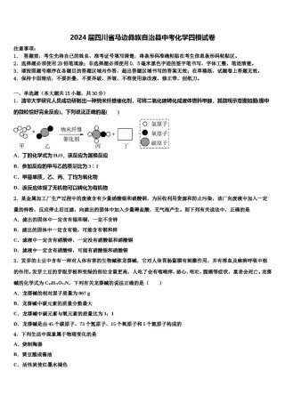 2024届四川省马边彝族自治县中考化学四模试卷含解析.doc