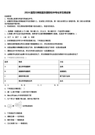 2024届四川绵阳富乐国际校中考化学五模试卷含解析.doc