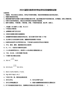2024届四川自贡市中考化学对点突破模拟试卷含解析.doc