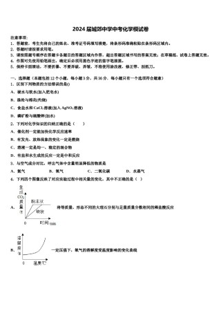 2024届城郊中学中考化学模试卷含解析.doc