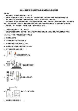 2024届天津市东丽区中考化学适应性模拟试题含解析.doc