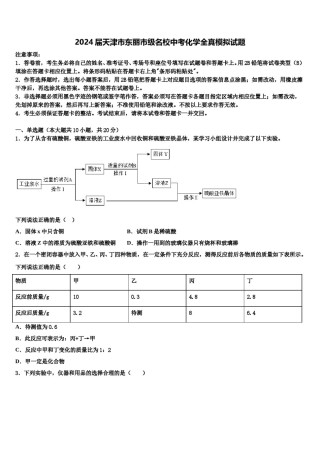 2024届天津市东丽市级名校中考化学全真模拟试题含解析.doc