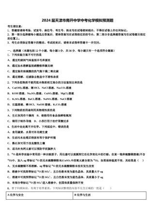 2024届天津市南开中学中考化学模拟预测题含解析.doc