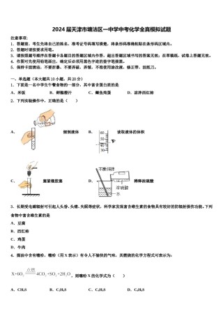2024届天津市塘沽区一中学中考化学全真模拟试题含解析.doc