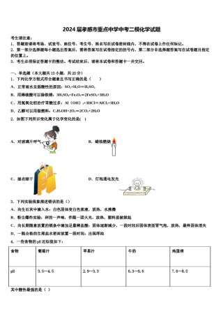 2024届孝感市重点中学中考二模化学试题含解析.doc