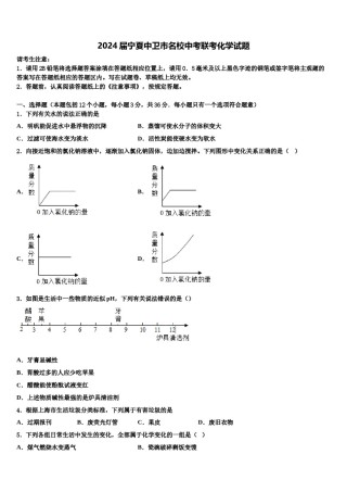 2024届宁夏中卫市名校中考联考化学试题含解析.doc