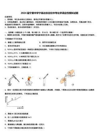 2024届宁夏中学宁县达标名校中考化学适应性模拟试题含解析.doc
