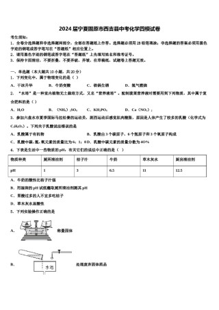 2024届宁夏固原市西吉县中考化学四模试卷含解析.doc