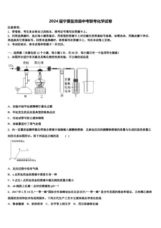 2024届宁夏盐池县中考联考化学试卷含解析.doc