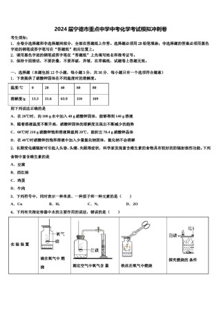 2024届宁德市重点中学中考化学考试模拟冲刺卷含解析.doc