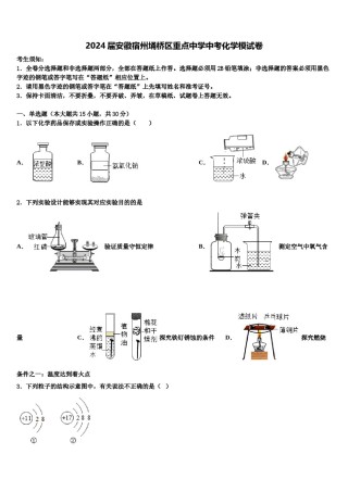 2024届安徽宿州埇桥区重点中学中考化学模试卷含解析.doc