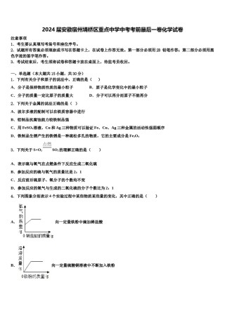 2024届安徽宿州埇桥区重点中学中考考前最后一卷化学试卷含解析.doc