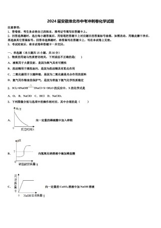 2024届安徽淮北市中考冲刺卷化学试题含解析.doc
