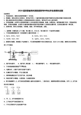 2024届安徽省亳州涡阳县联考中考化学全真模拟试题含解析.doc