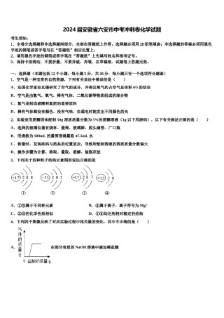 2024届安徽省六安市中考冲刺卷化学试题含解析.doc