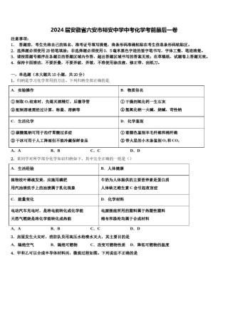 2024届安徽省六安市裕安中学中考化学考前最后一卷含解析.doc